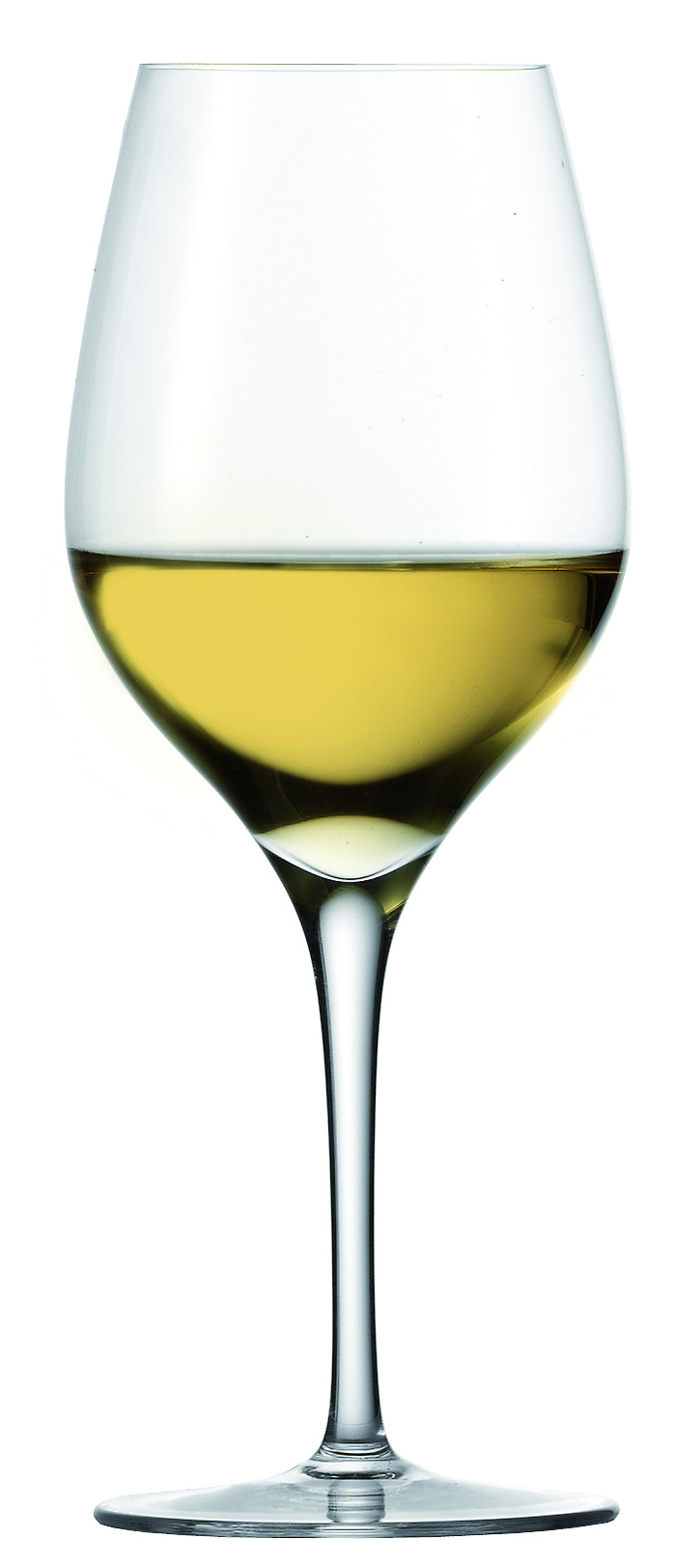 Chardonnay - Gusto